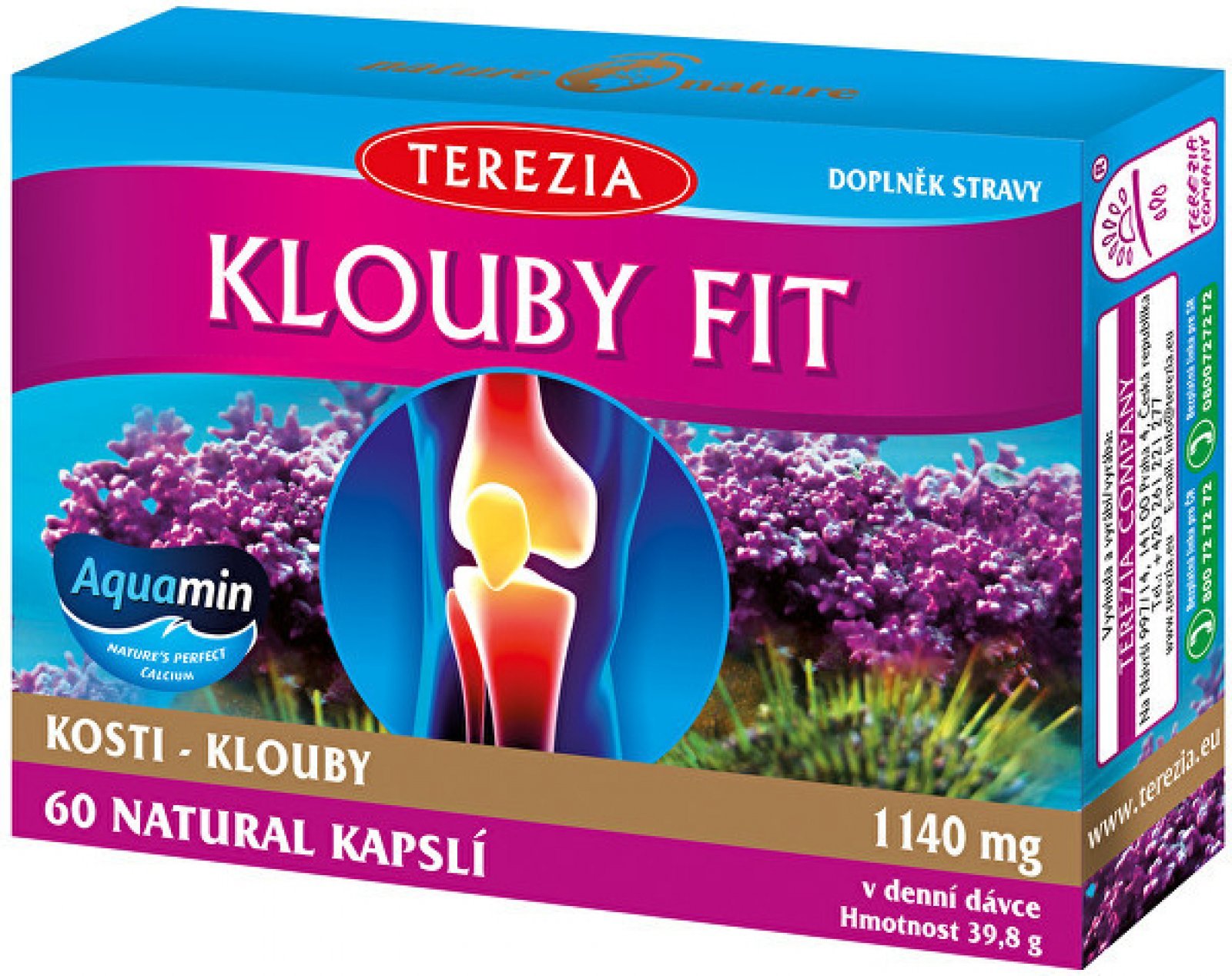 Terezia Company Klouby fit 60 kapslí